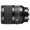 50mm F1.4 DG DN for Sony E view 2