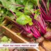 Dried Chopped Beets by Its Delish, 10 lbs Bulk Bag | Gourmet Dehydrated Raw Beet Root Vegetables | Cooking, Camping, Emergency Food Supply | All Natural, No Sugar or Color Added | Vegan, Kosher view 3