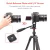 Andoer Compact Video Fluid Head Pan Tilt Tripod Head Panorama Ballhead Tripod Mount Aluminum Alloy 1/4 Inch Screw 10kg/22lbs Load Capacity with Handle Quick Release Plate view 4