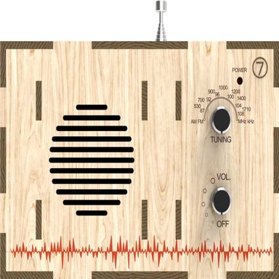 Kaito DIY-63 AM/FM Radio Kit with Personal Customization