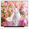 15.6" FHD 144Hz LCD Screen Replacement LED Display Panel N156HME-GAK.C1 for ASUS TUF Dash F15 FX517ZM-AS73 (Non-Touch) view 1