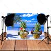 TOAOFY Summer Beach Ocean Photo Backdrop Blue Sky Tropical Palm Tree Background Funny Pineapple Hawaii Beach Party Photo Decor Kids Child Birthday TAYBZT412 view 4