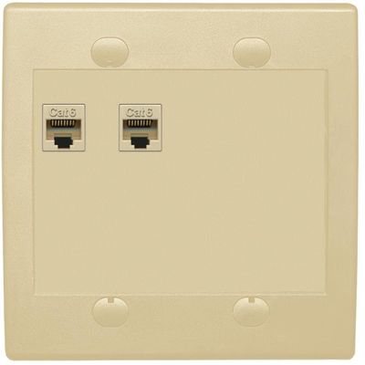 RiteAV 2 Port Cat6 Ethernet Wall Plate - Flat 2 Gang [Ivory/Ivory]