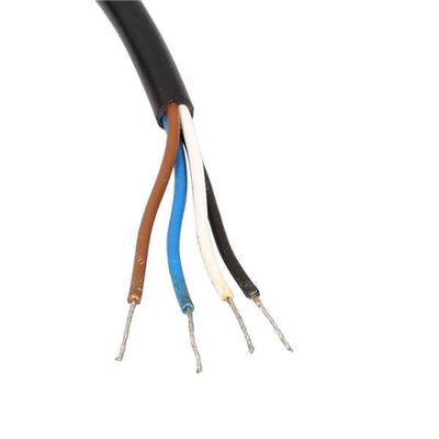 keisnoaja M12 Connector Cable Assembly Female Straight 4 Pin A Coding Overmolded Cable 0.5M AWG22 for Industrial Applications