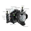 SeaFrogs Waterproof Housing for Canon EOS R3 with WA005F Dome Port Combo [40M/130FT] Scuba Diving Underwater Case for Canon R3 Diving Underwater Photography Videography view 4
