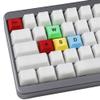 Mechkeeb DSA Profile PBT RGBY ESC Arrow WASD Dye Sub Keycaps for Cherry Gateron Kailh MX Mechanical Keyboard Keycap (DSA RGBY 9 Keys) view 1
