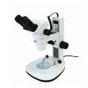 Continuous Zoom Stereo Microscope view 2