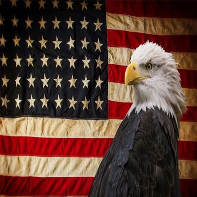 BELECO American Flag and Bald Eagle Backdrop 12x8ft Fabric Independence Day 4th of July Patriotic Festival Party Decoration Background Veterans Memorial Day Party Banner Portrait Photo Booth Props