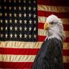 BELECO American Flag and Bald Eagle Backdrop 12x8ft Fabric Independence Day 4th of July Patriotic Festival Party Decoration Background Veterans Memorial Day Party Banner Portrait Photo Booth Props view 1