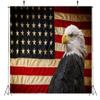 BELECO American Flag and Bald Eagle Backdrop 12x8ft Fabric Independence Day 4th of July Patriotic Festival Party Decoration Background Veterans Memorial Day Party Banner Portrait Photo Booth Props view 3
