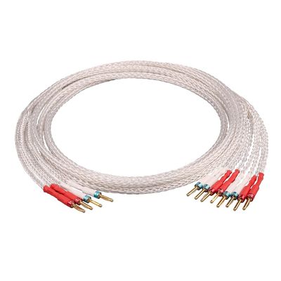 AVPLAY AV-0804 Top Class Hiend HiFi Audiophile Biwired Speaker Cable OFC Copper Body Sliver Cover Plug Plated Gold Jumper Cable (6.5m, 2 to 4 Plus(biwired))