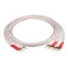 AVPLAY AV-0804 Top Class Hiend HiFi Audiophile Biwired Speaker Cable OFC Copper Body Sliver Cover Plug Plated Gold Jumper Cable (6.5m, 2 to 4 Plus(biwired)) view 1