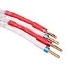 AVPLAY AV-0804 Top Class Hiend HiFi Audiophile Biwired Speaker Cable OFC Copper Body Sliver Cover Plug Plated Gold Jumper Cable (6.5m, 2 to 4 Plus(biwired)) view 3