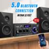 Daakro AK45 Stereo Audio Amplifier,300W Home 2 Channel Wireless Bluetooth 5.0 Power Amplifier System, Home Amplifiers FM Radio, USB, SD Card, with Remote Control Home Theater Audio Stereo System view 4