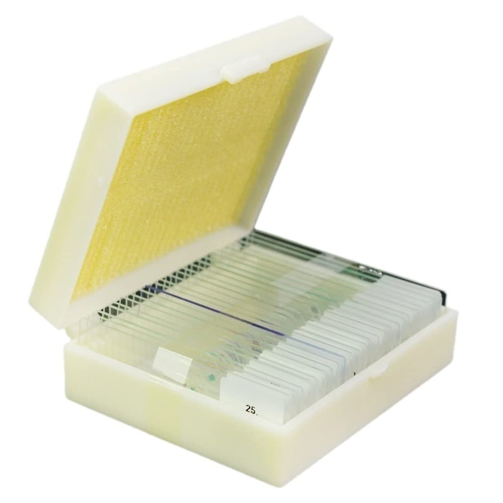JUIYU Microscope Accessories Kit Microscope Slides Kit-25PCS Microscope Slides Prepared Glass for Biological Microscopes with Chinese English Label Microscope Slides (Color : 1Box Plant)