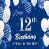 12th Birthday Backdrop Banner, Navy Blue Silver Official Pre-Teen 12th Birthday Photography Background, 12 Years Old Boys Birthday Party Backdrop Poster Fabric 6x4ft view 1
