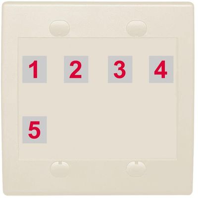RiteAV Custom Wall Plate 5 Port, Flat 2 Gang, Light Almond, Choose HDMI Coax 3.5mm Banana Cat5/6 Phone RCA Speaker Toslink USB