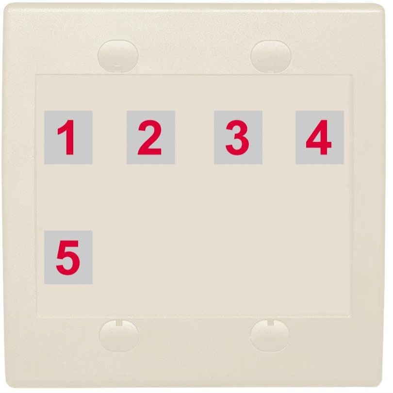 RiteAV Custom Wall Plate 5 Port, Flat 2 Gang, Light Almond, Choose HDMI Coax 3.5mm Banana Cat5/6 Phone RCA Speaker Toslink USB