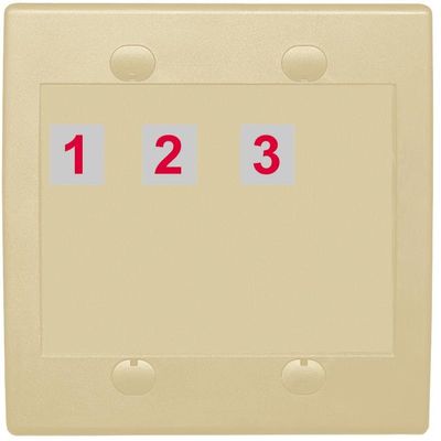 RiteAV Custom Wall Plate 3 Port, Flat 2 Gang, Ivory/Ivory, Choose HDMI Coax 3.5mm Banana Cat5/6 Phone RCA Speaker Toslink USB