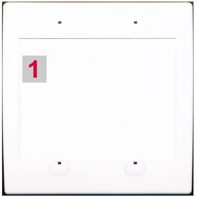 RiteAV Custom Wall Plate 1 Port, Flat 2 Gang, White/White, Choose HDMI Coax 3.5mm Banana Cat5/6 Phone RCA Speaker Toslink USB