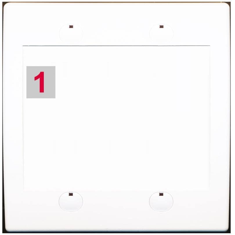 RiteAV Custom Wall Plate 1 Port, Flat 2 Gang, White/White, Choose HDMI Coax 3.5mm Banana Cat5/6 Phone RCA Speaker Toslink USB