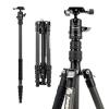 Fotopro 62" Carbon Fiber Travel Tripod, Lightweight Compact Camera Tripod with Ball Head and Arca-Swiss Quick Release Plate, Detachable Monopod, Carry Bag, Load up to 8KG/17.63lbs, Weighs only 2lbs. view 1