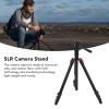 Camera Tripod, 63.89 Inch Lightweight Camera Mount Tripod Stand with Foldable Adjustable Angle Heavy Duty Structure Design, for Camera, SLR, Camcorder (TJ-2942 +) view 4