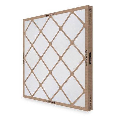 PAMLICO AIR 14 in. W X 20 in. H X 2 in. D Fiberglass 4 MERV Air Filter 1 pk