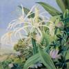 Jamaica : 1872 : Marianne North : Archival Quality Art Print view 1