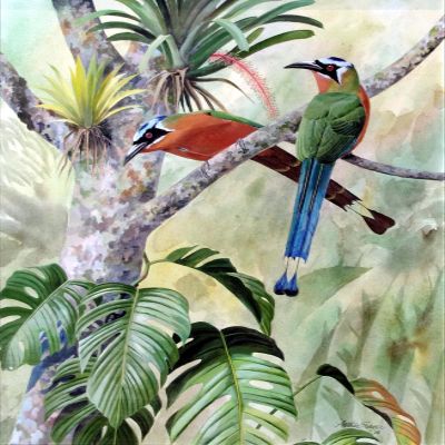 Arthur Singer : Tropical Birds Set in a Lush Landscape : Archival Art Print