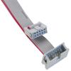CablesOnline, 18-inches 10-Pin (2x5) 2.54mm-Pitch IDC 10-Wire Flat Ribbon Extension Cable, FR-1018M view 2