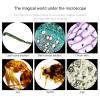 30000x/50000x/70000x Microscopes, Compound Binocular Microscopes + Luxury Handbag + Phone Holder, with Mechanical Platform Slides Set, for Lab School,70000X view 3