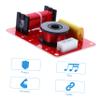 SHOWERORO 2-Way Crossover Filters Acoustic Components for Car Audio Audio Frequency Divider Low Pass Filter DIY Speaker Parts view 3