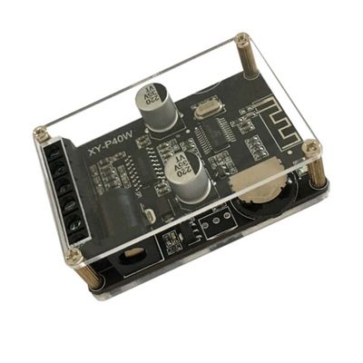 XY-P40W 30W 40W stereo board 12V 24V digital power amplifier module speaker (board with shell)