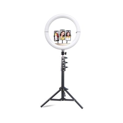 GIENEX 14-inch LED Ring Light Dimmable Lighting Kit with 51-inch Light Stand, for Photo Studio LED Lighting Portrait Video Shooting