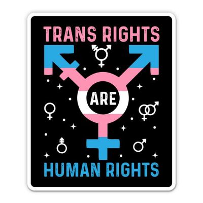 Trans Rights Human Rights Sticker - 3" Laptop Sticker - Waterproof Vinyl for Car, Phone, Water Bottle - Transgender Support Decal
