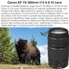 Canon EOS Rebel T7 DSLR Camera with 18-55mm is II Lens Bundle + Canon EF 75-300mm f/4-5.6 III Lens + 420-800mm HD SuperZoom Lens + 128GB Memory + Filters + Flash + Monopod + Professional Bundle Black (Renewed) view 4