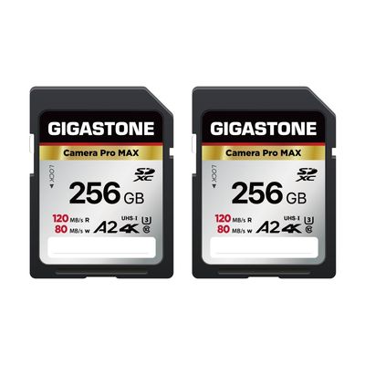 5-Years Data Recovery GIGASTONE 256GB SD Card 2-Pack, 4K Camera Pro MAX, A2 4K SDXC Memory Card High Speed 4K UHD Video Compatible with Canon Kodak Digital Camera, with 2 Mini case