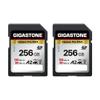 5-Years Data Recovery GIGASTONE 256GB SD Card 2-Pack, 4K Camera Pro MAX, A2 4K SDXC Memory Card High Speed 4K UHD Video Compatible with Canon Kodak Digital Camera, with 2 Mini case view 1
