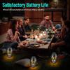 INSSISAIN 2 Pack Outdoor Bluetooth Speakers Waterproof Wireless, Birthday Gifts for Men Dad, LED Flame Ambient Light, Camping Patio Accessories, Unique Gifts for Him Husband Boyfriend Dad Gifts view 3