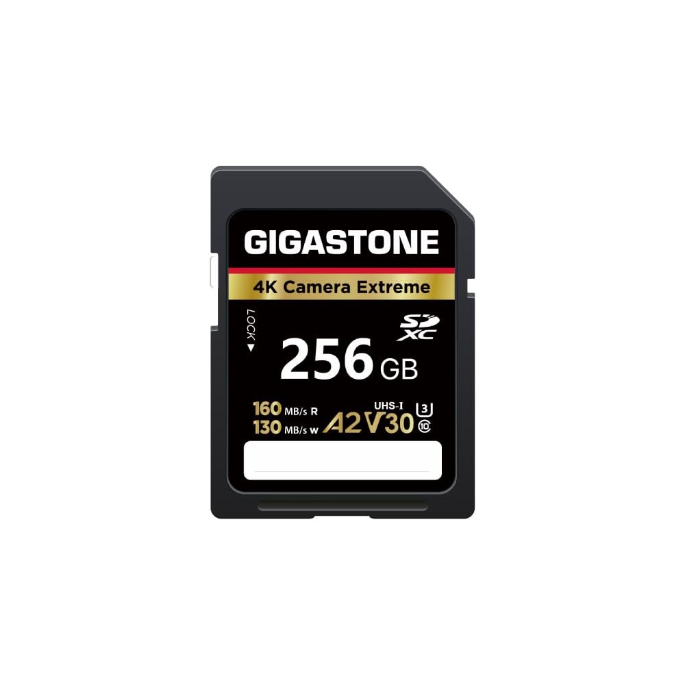 5-Years Data Recovery GIGASTONE 256GB SD Card, 4K Camera Extreme, A2 V30 U3 C10 SDXC Memory Card High Speed, Compatible with Canon Kodak Olympus Digital Camera