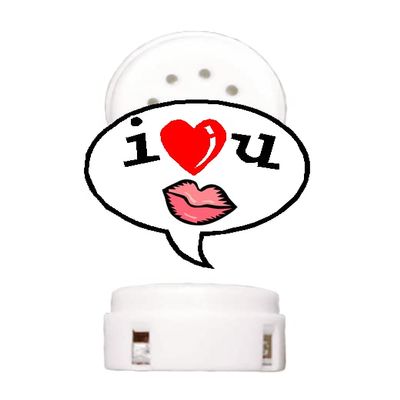 Kiss & I Love You Sound Module Recorder Device for Stuffed Plush Animal - Pre-Recorded Kiss & I Love You Sound Fits to Any Size Toy