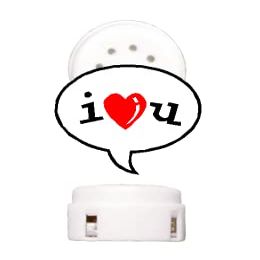 I Love You Sound Module Device's for Stuffed Plush Pre-Recorded Module