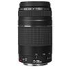 Canon EOS RP Mirrorless Camera w/RF 24-105mm f/4-7.1 is STM Lens + EF 75-300mm f/4-5.6 III Lens + 2X 64GB Memory + Case + Microphone + LED Video Light + More (35pc Bundle) (Renewed) view 4