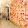 Himalayan Pink Salt Blocks 8x4x2 Salt Bricks Build Salt Wall Panel Home decor Improvement Pack of 10 view 4