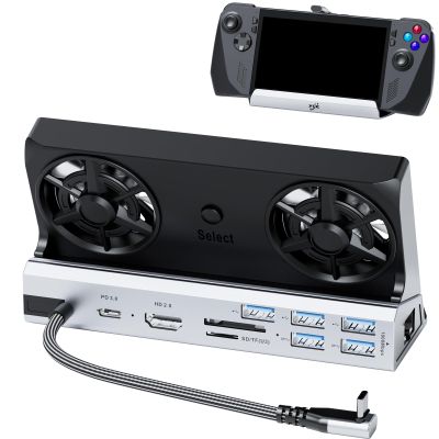Dual Cooling Fans 13 in 1 Steam Deck Docking Station with 4K@60Hz 5 USB Ports,1000Mbps,SD/TF Slot,USB-C 100W PD, 40Gbps Adapter for Steam Deck/Rog Ally/Switch/Legion Go