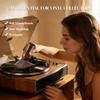XQ XIAO QIAO Vinyl Record Cleaning Brush - Anti Static Dust Wooden Vinyl Cleaner Brush - Record Player Accessories view 4