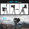 SmallRig Video Head for Vertical/Horizontal Shooting, Tripod Pan Tilt Fluid Head with Telescopic Handle and Switchable QR Plate for Arca, Max Load 5kg / 11Ibs for Camcorder, Mirrorless, DSLR - 4104 view 3