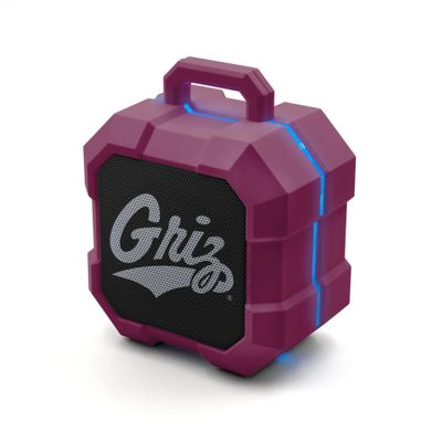 SOAR NCAA Shockbox LED Wireless Bluetooth Speaker, Montana Grizzlies