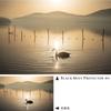 Kenko 825693 Soft Effect & Lens Protector, Black Mist Protector, 2.0 inches (52 mm), Weak Soft Effect, Multi-Coating, Water and Oleophobic Coat, Like a Movie Scene view 4